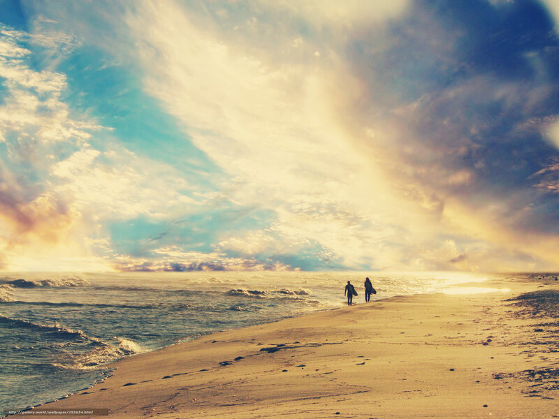 Surfers at sunset on the beach