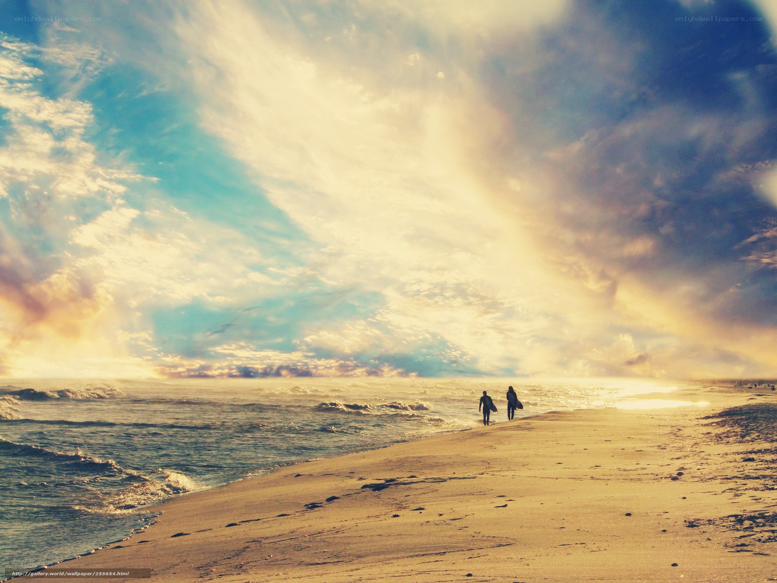 Surfers at sunset on the beach