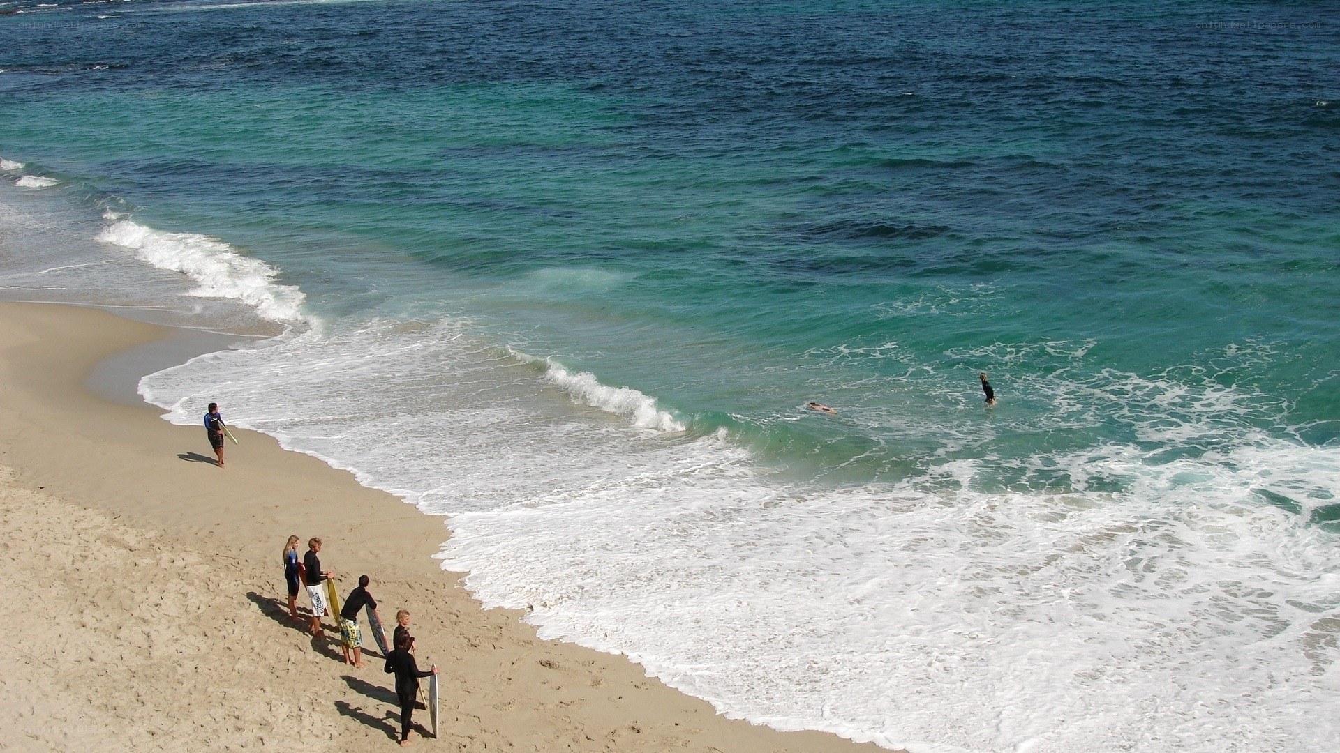 Surfers at the beach