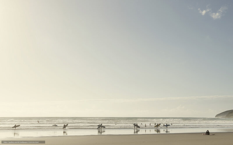 Surfers at the beach at sunset