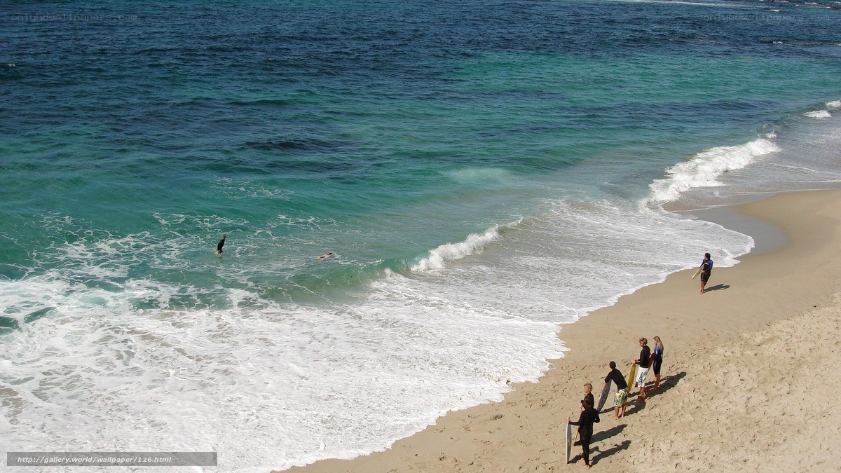 Surfers at the beach