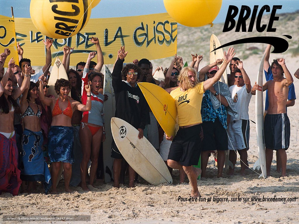Surfers celebrating on beach