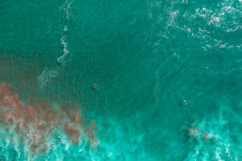 Surfers in Turquoise Water — Serene, Afternoon