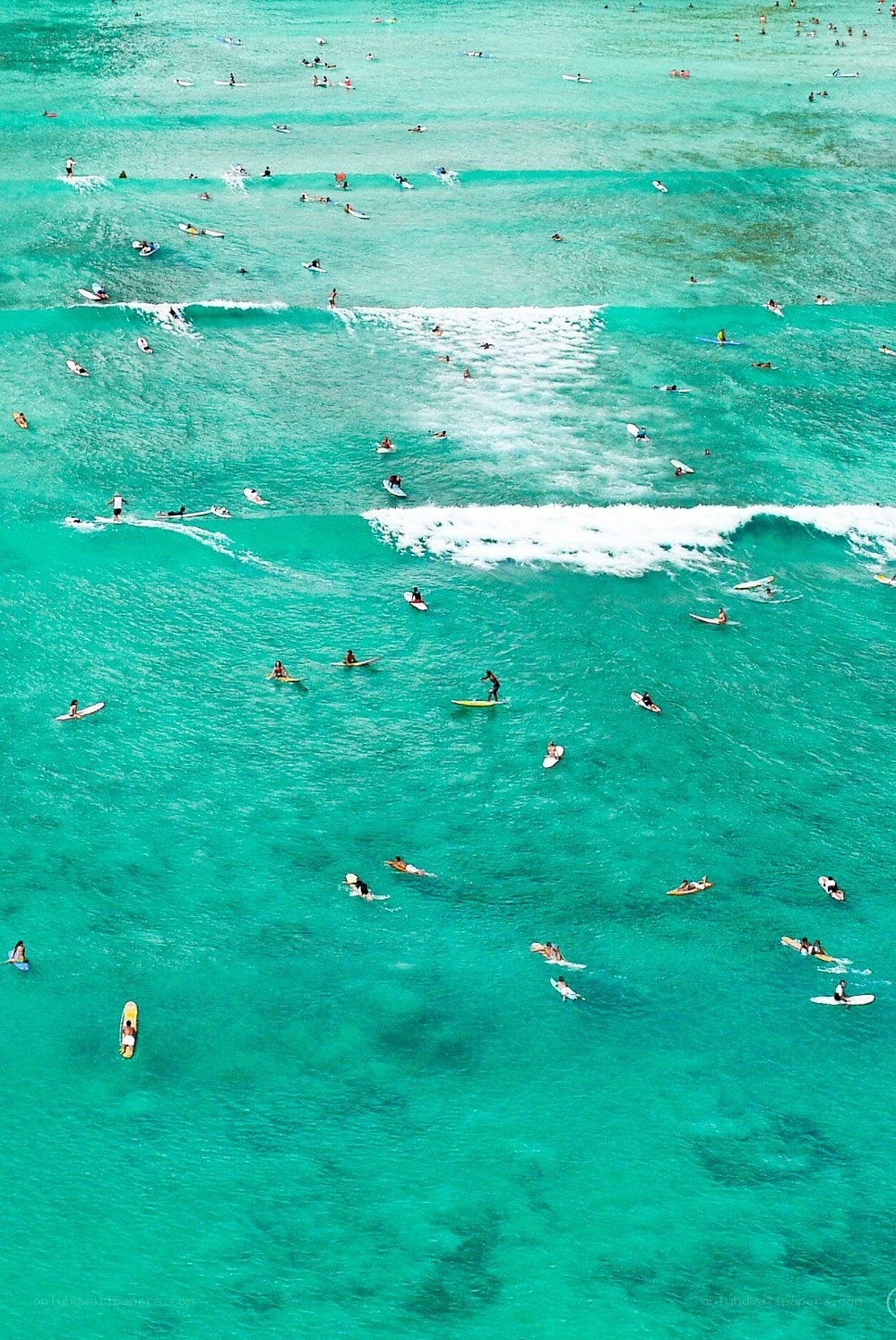 Surfers in turquoise waters