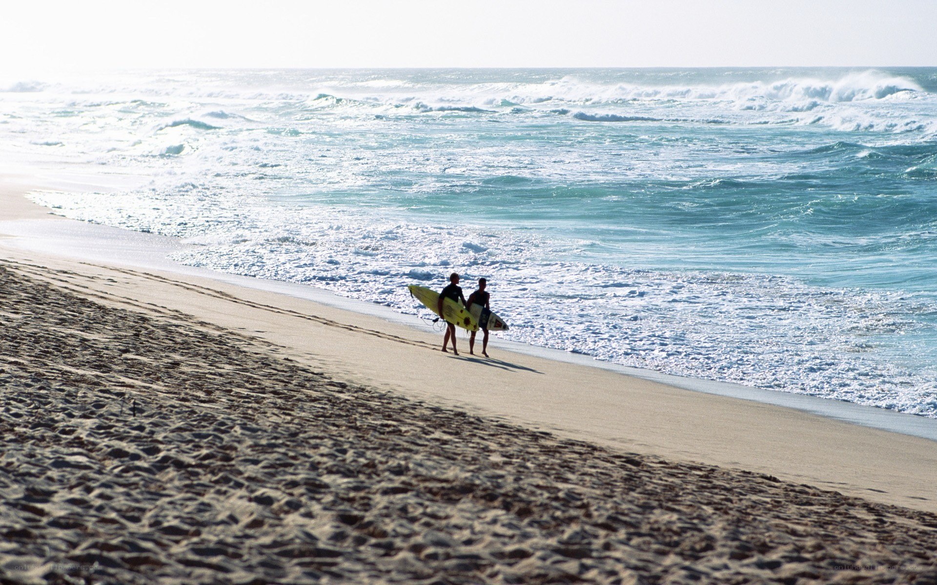 Surfers on a sunny beach
