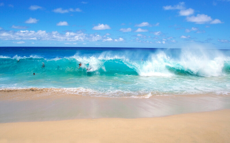 Surfers on Ocean Wave