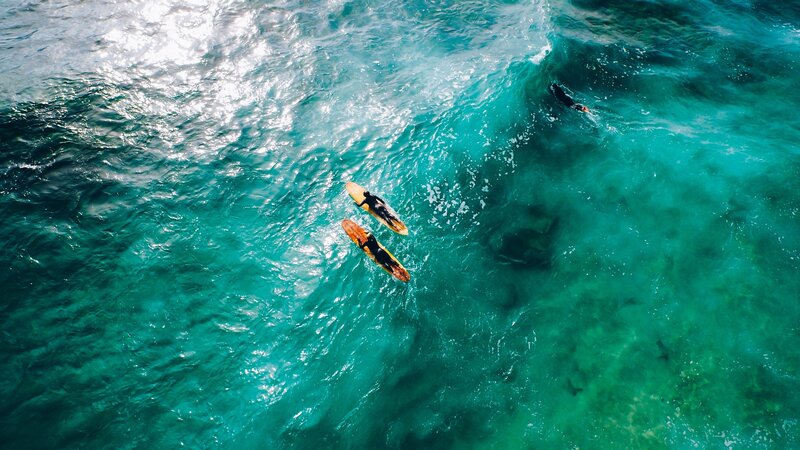 Surfers on Surfboards