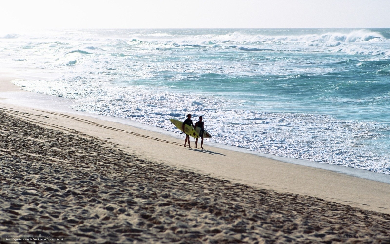 Surfers on the beach