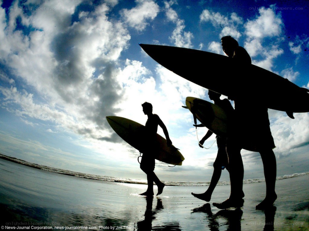 Surfers on the beach at sunset