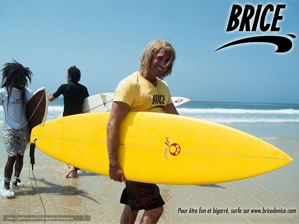 Surfers on the beach