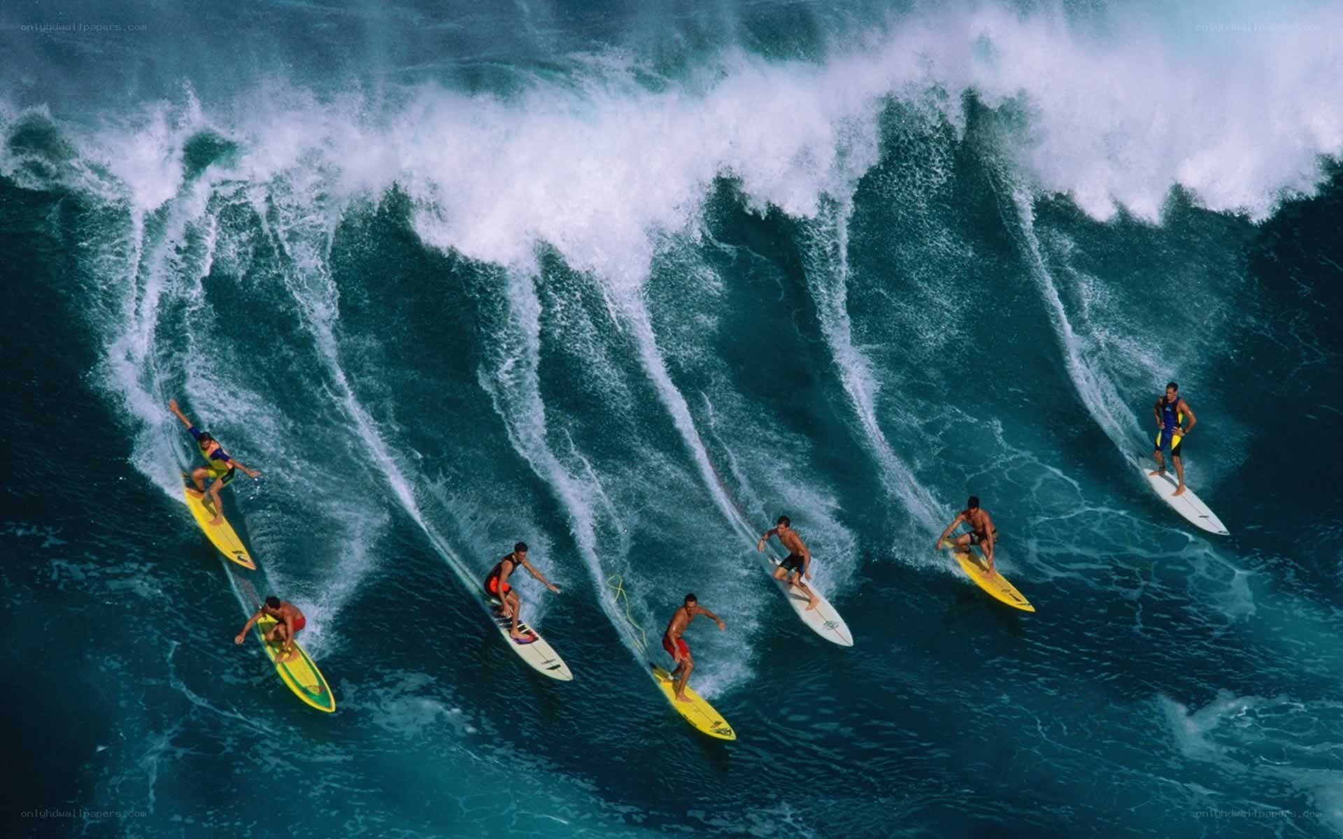 Surfers riding a large wave