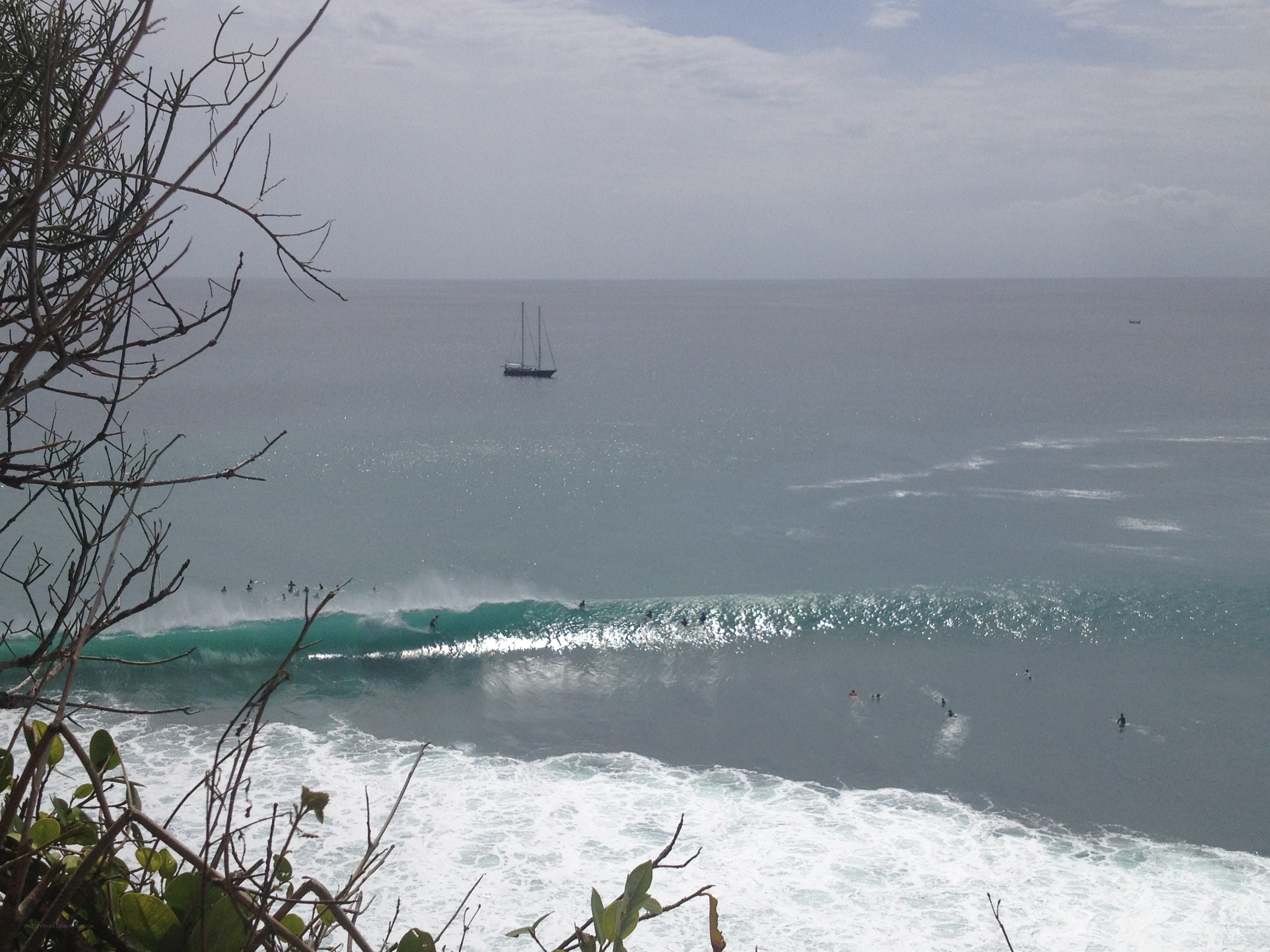 Surfers riding waves at the coast