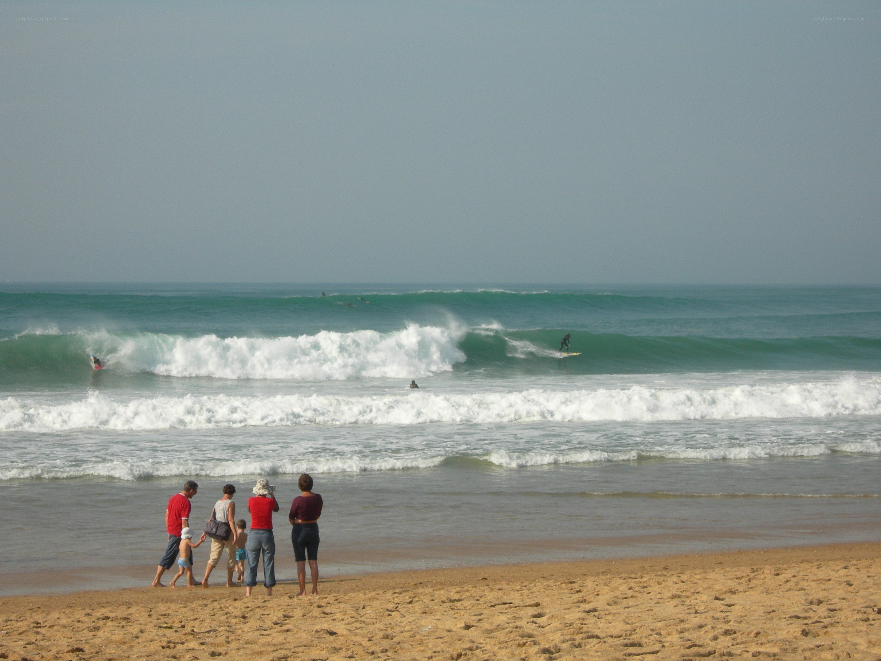 Surfers riding waves on a beach