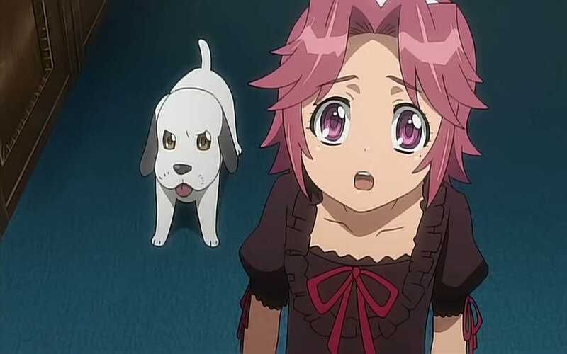 surprised girl with puppy