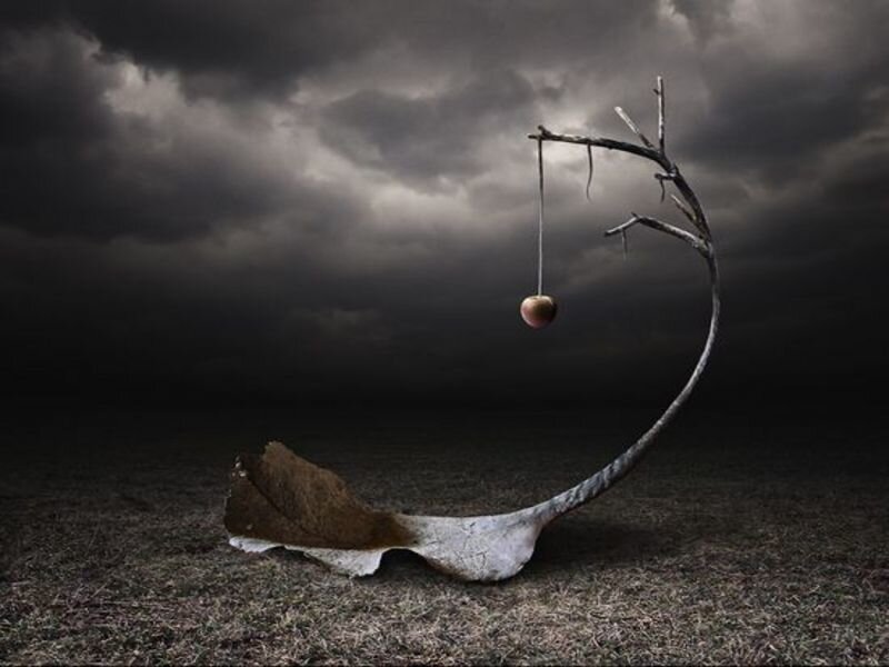 Surreal apple on a branch
