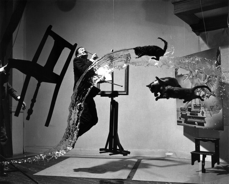 Surreal art scene with cats and water