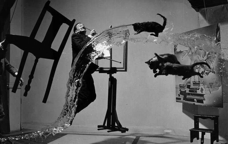 Surreal art scene with cats and water