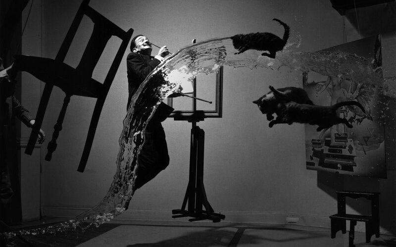 Surreal art scene with cats and water