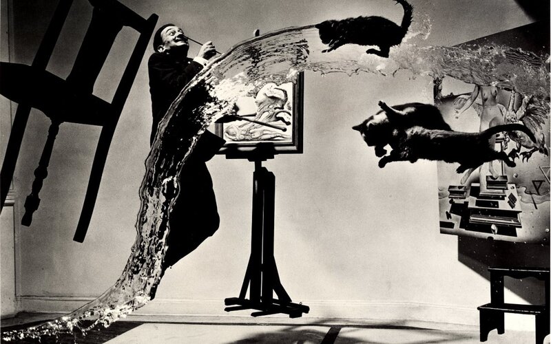 Surreal artist painting cats