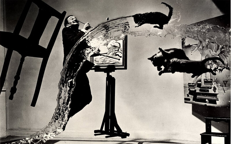 Surreal artist painting cats