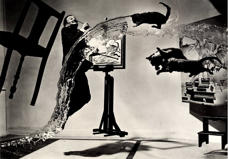 Surreal artist with cats and water