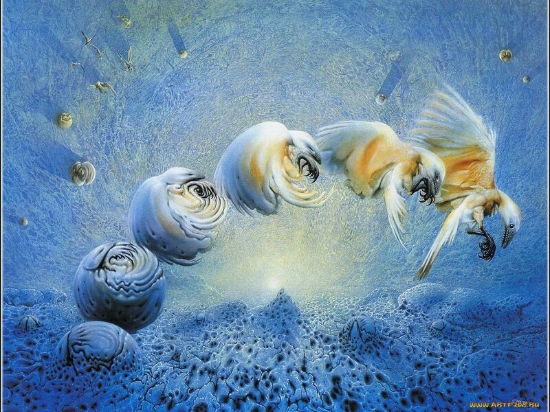 Surreal bird evolution