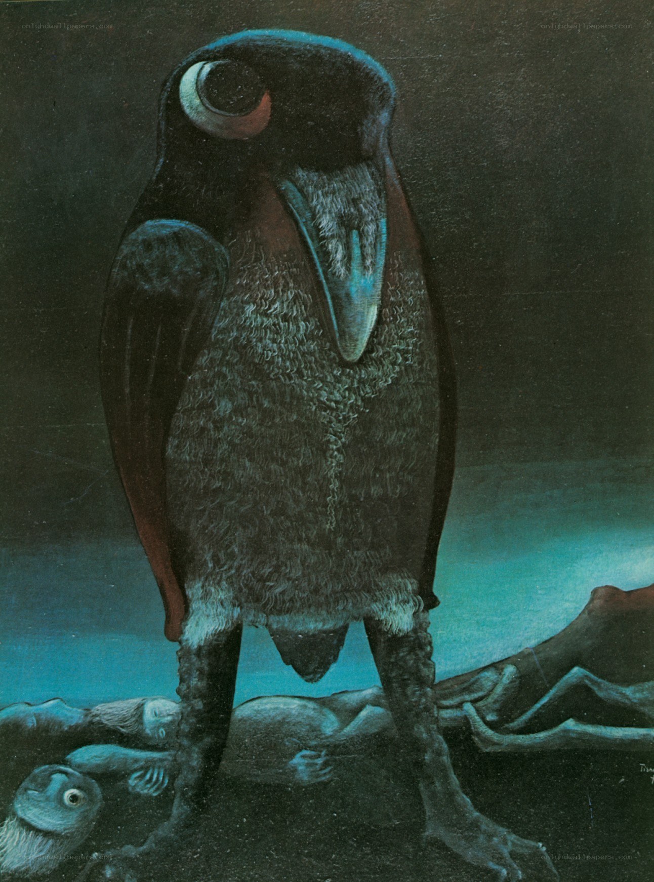 Surreal bird with large eye