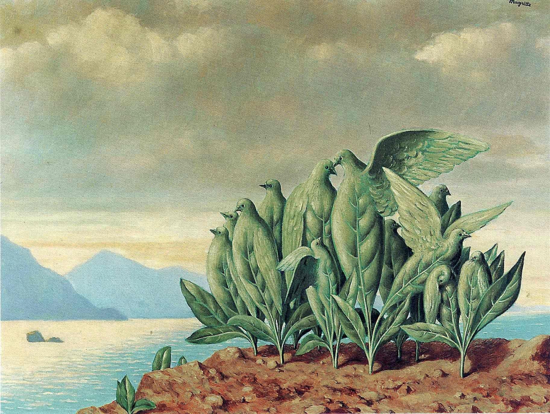Surreal birds on a cliff
