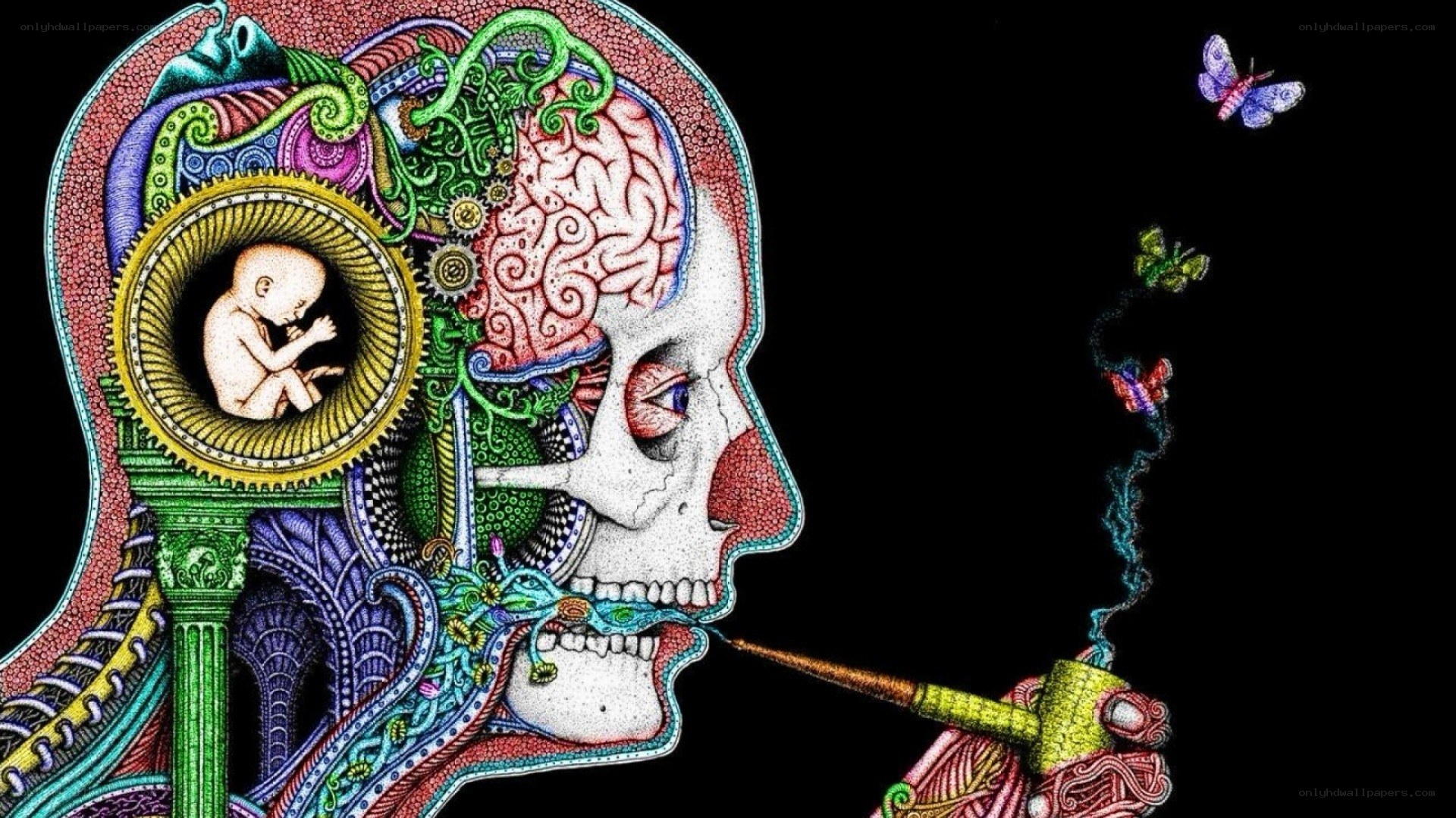 surreal brain and skull art
