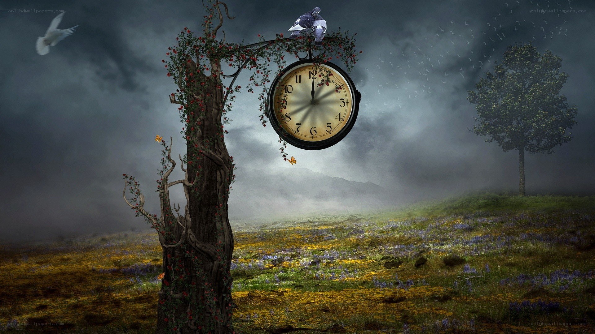 Surreal clock in a misty field