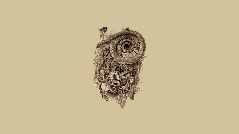 surreal creature illustration