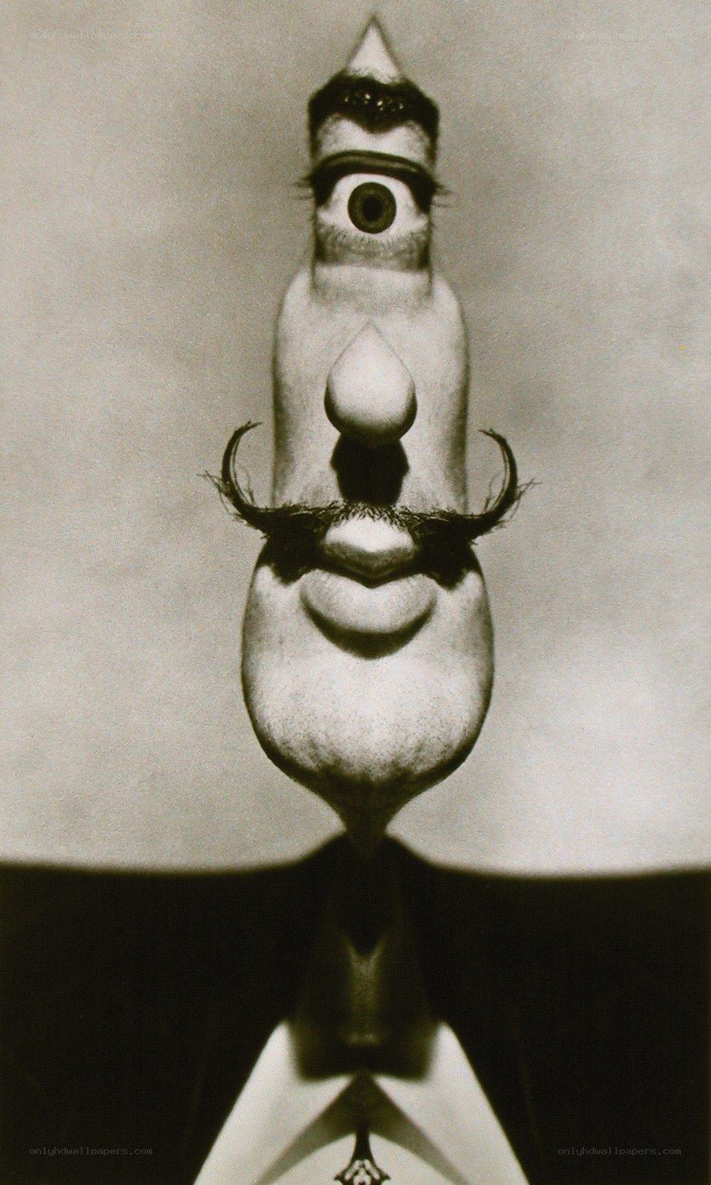 surreal distorted face portrait