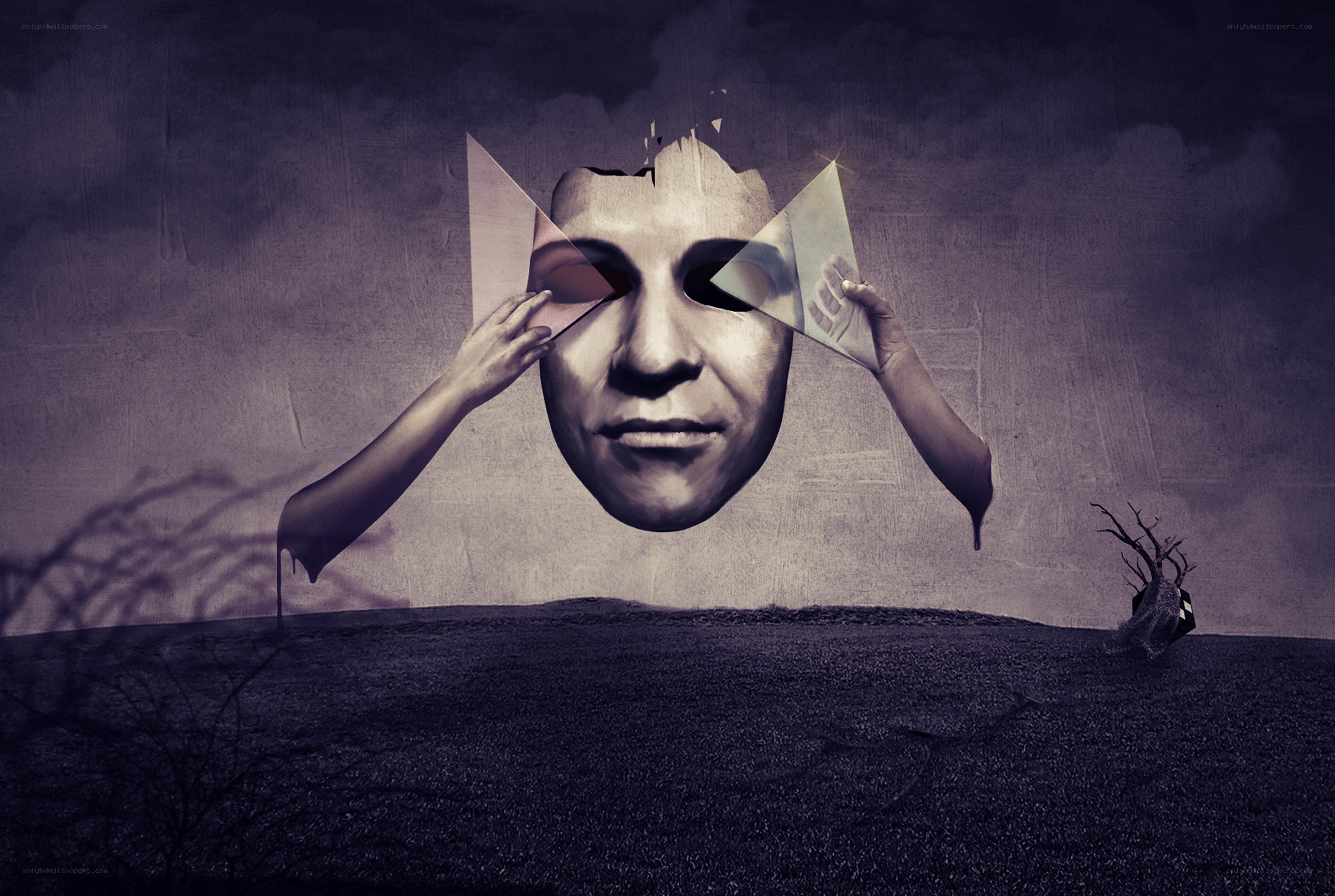 surreal face mask art