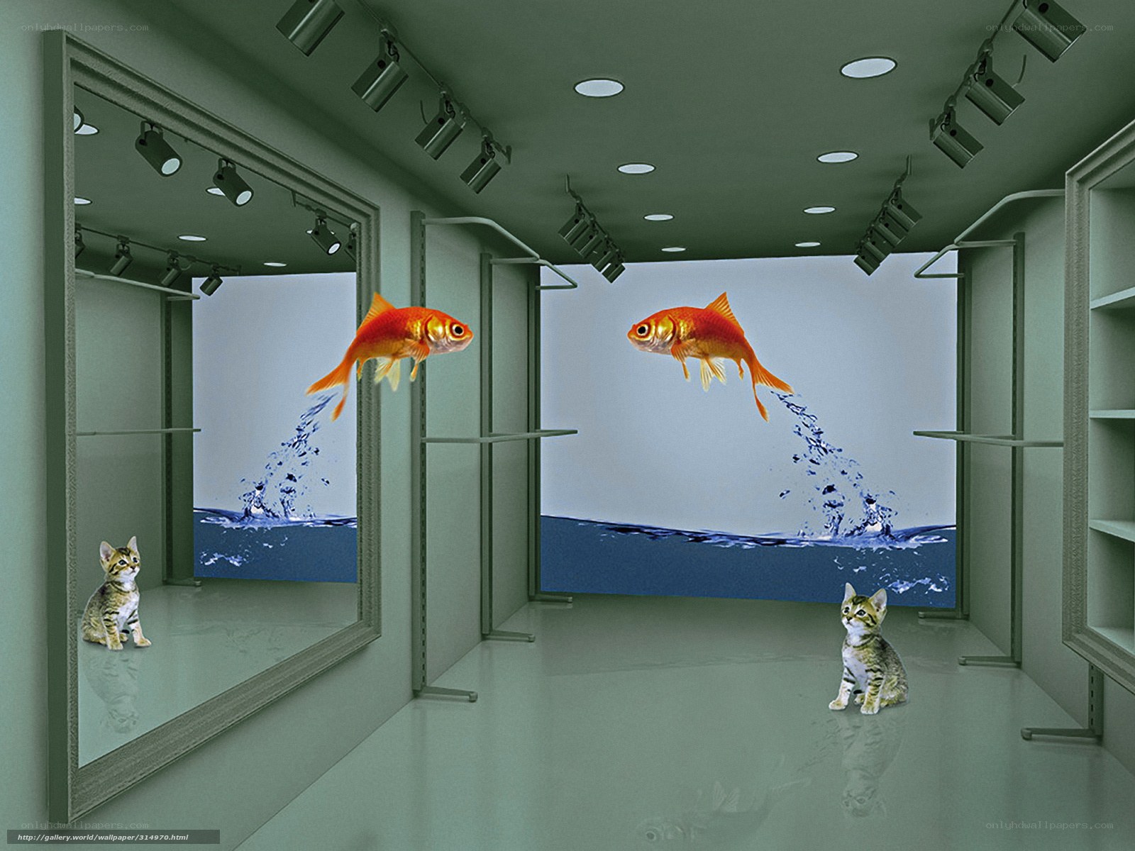Surreal fish and kitten scene