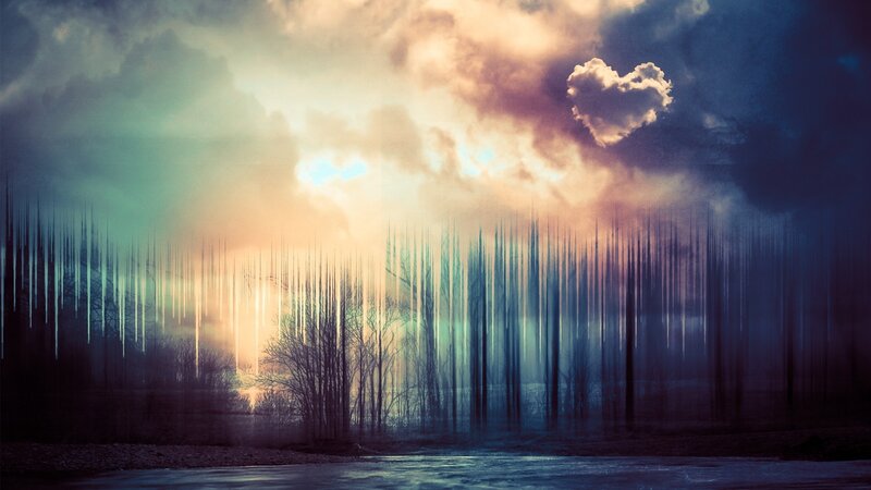 surreal forest at sunset