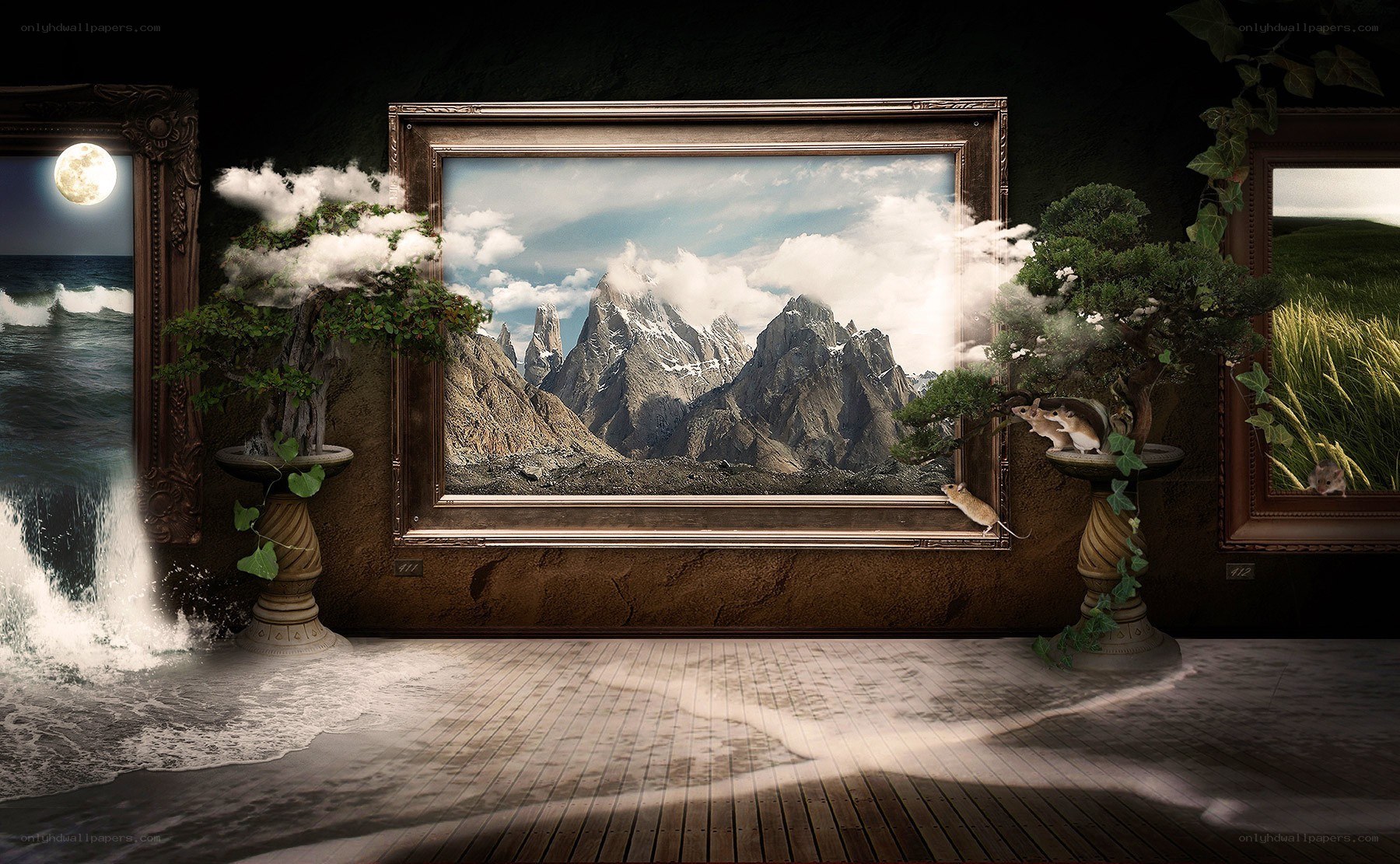 Surreal gallery with nature scenes