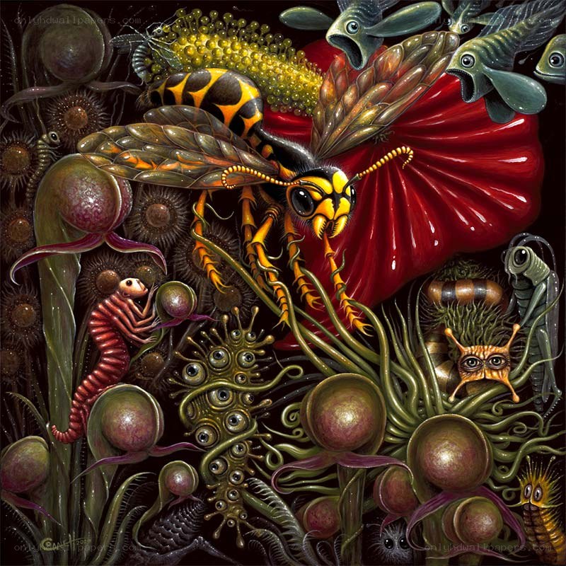 Surreal insect and sea life collage
