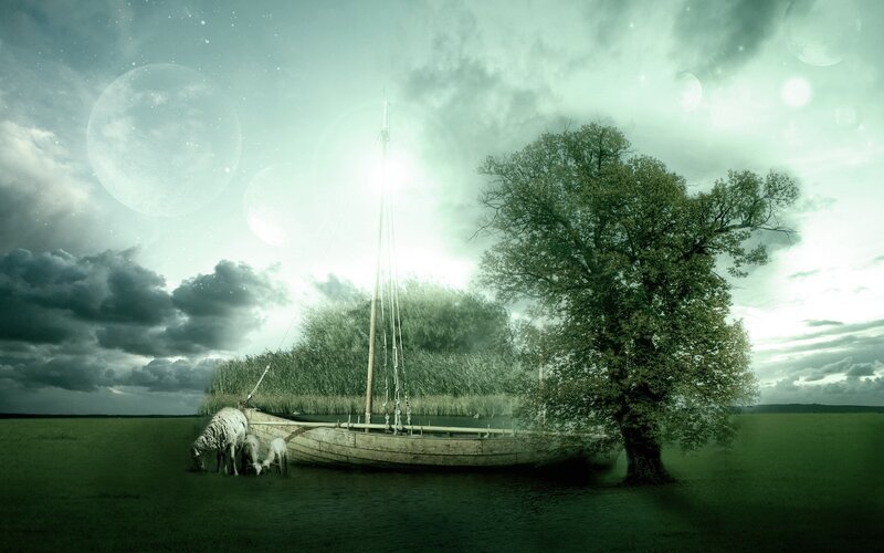 Surreal landscape with boat and sheep
