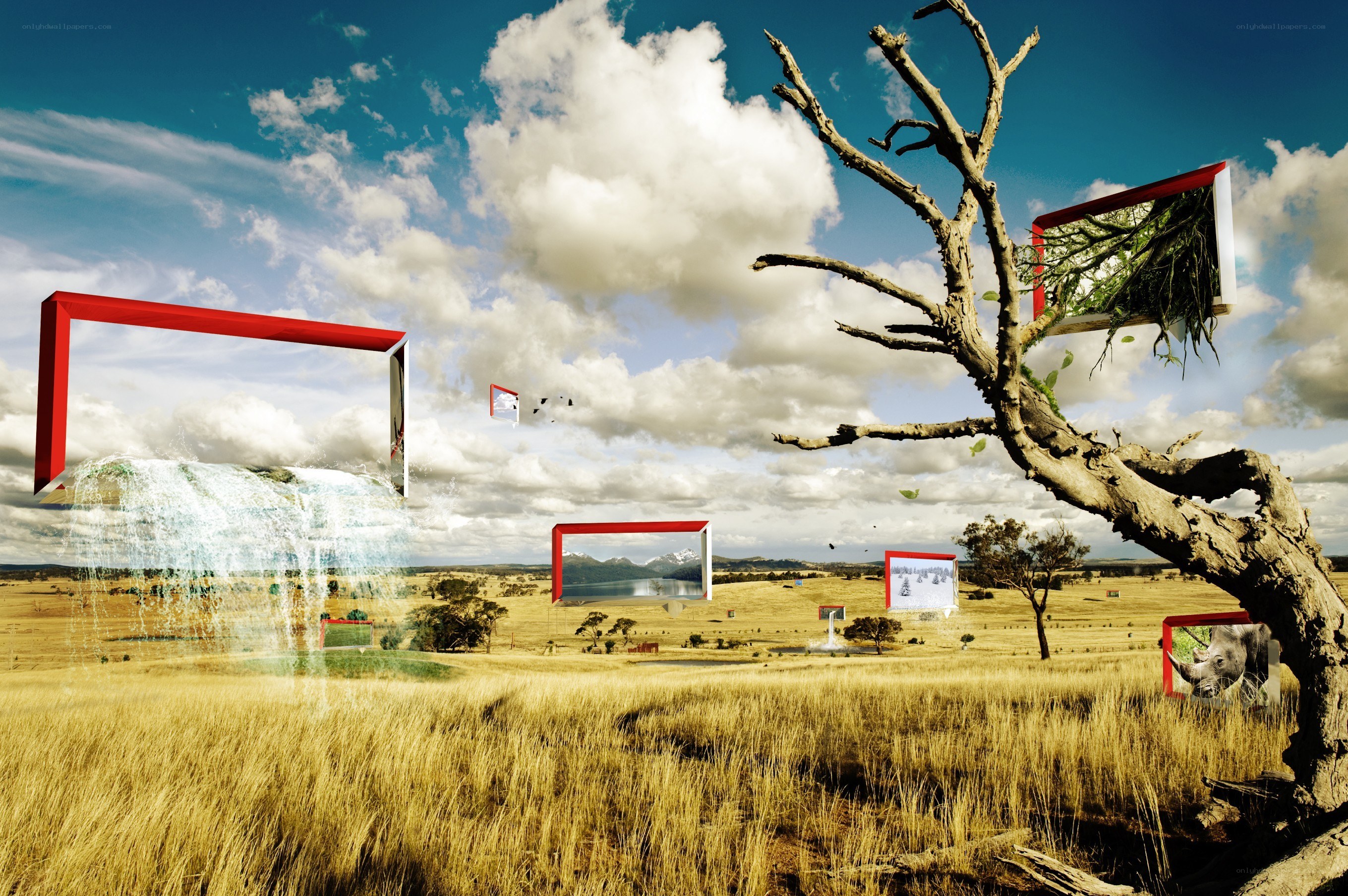Surreal landscape with floating frames