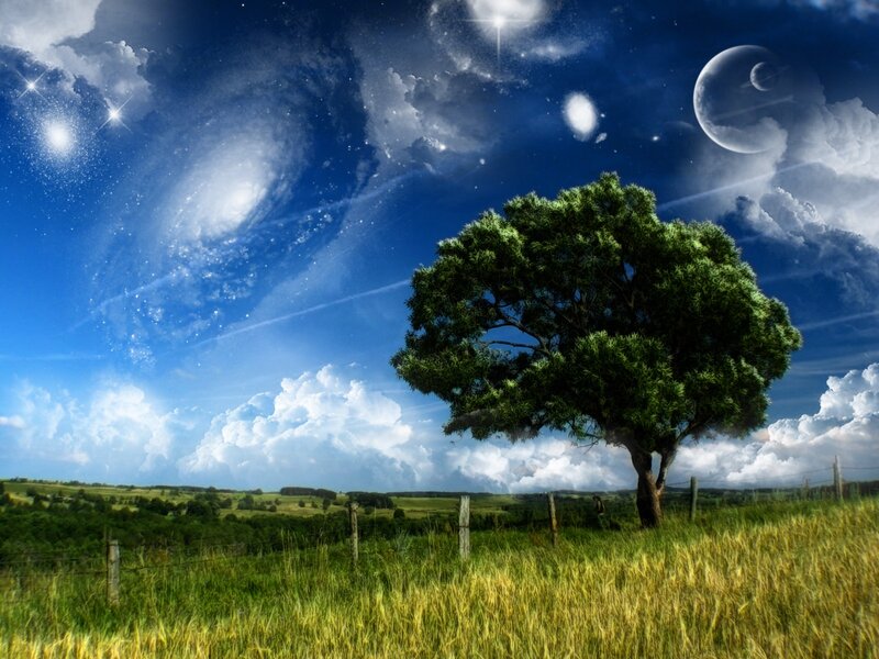 Surreal landscape with lone tree