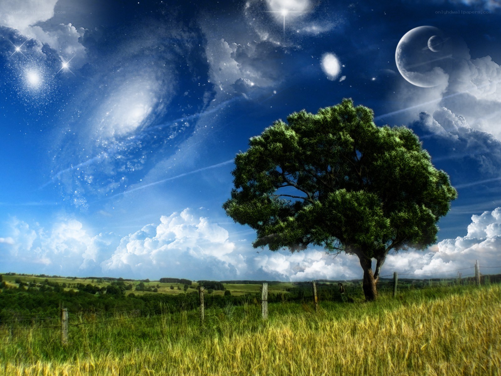 Surreal landscape with lone tree