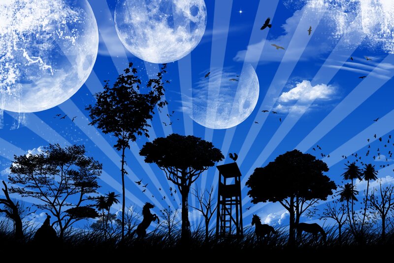 surreal moonlit landscape
