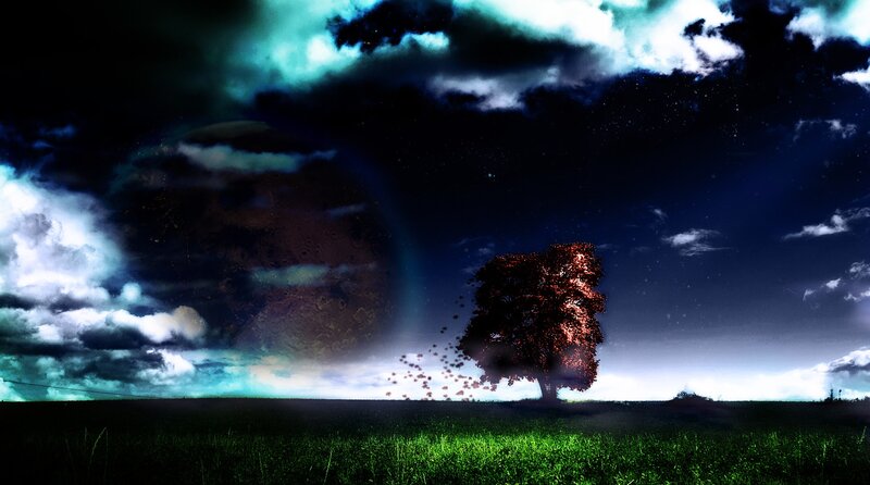surreal night landscape with tree
