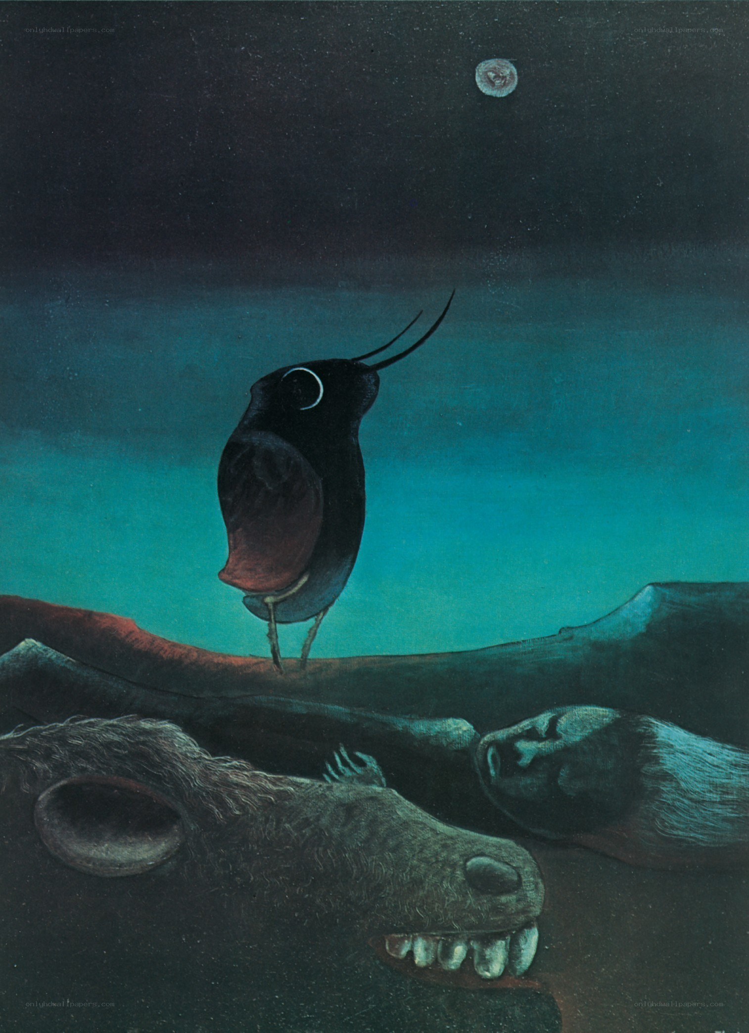 Surreal night scene with bird