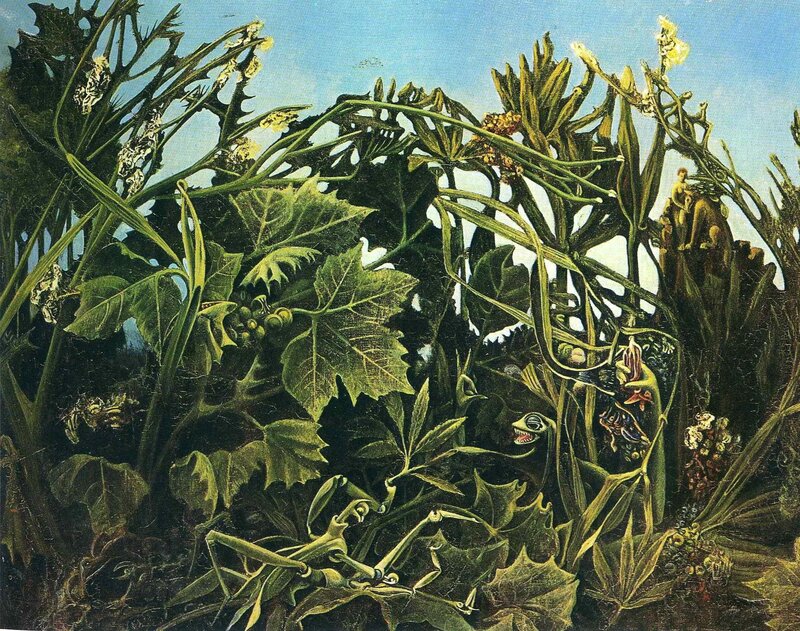 Surreal Plant Life