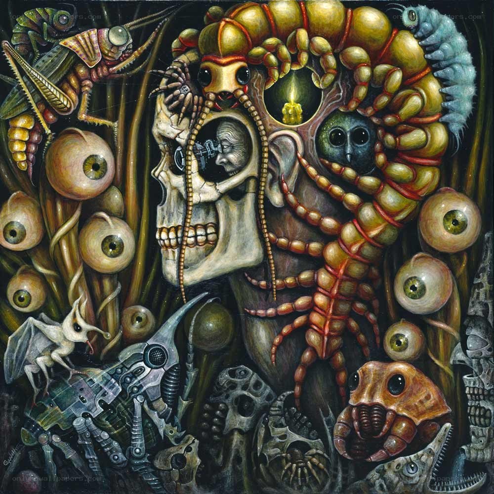 Surreal skull and insect collage