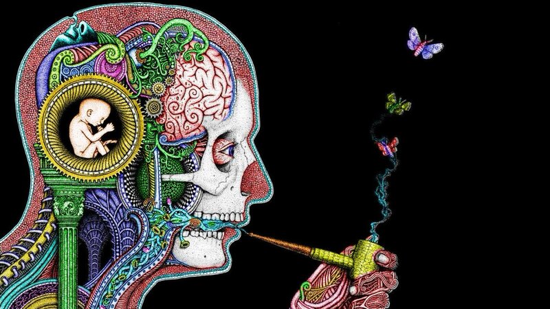 surreal skull with baby in brain