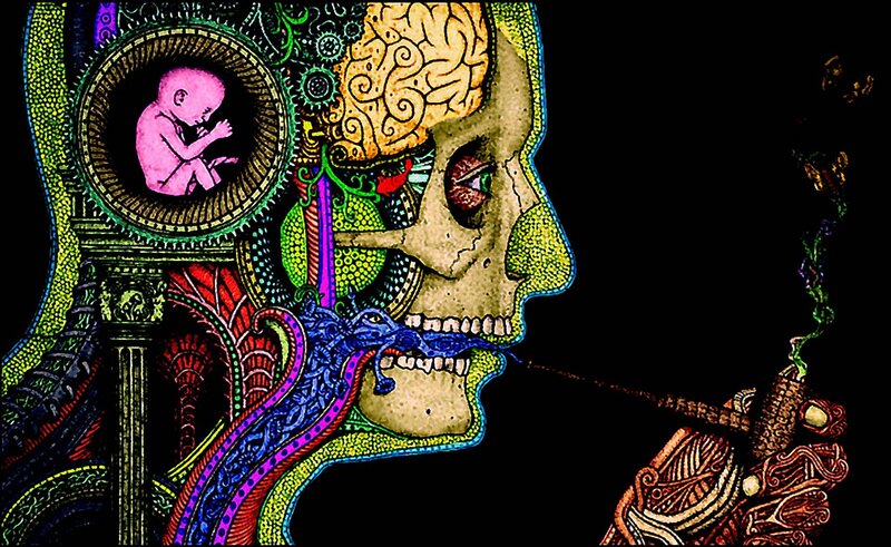 surreal skull with fetus and brain