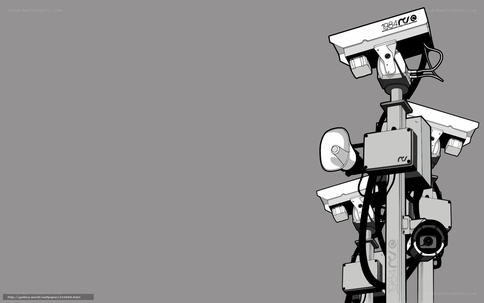 surveillance camera array
