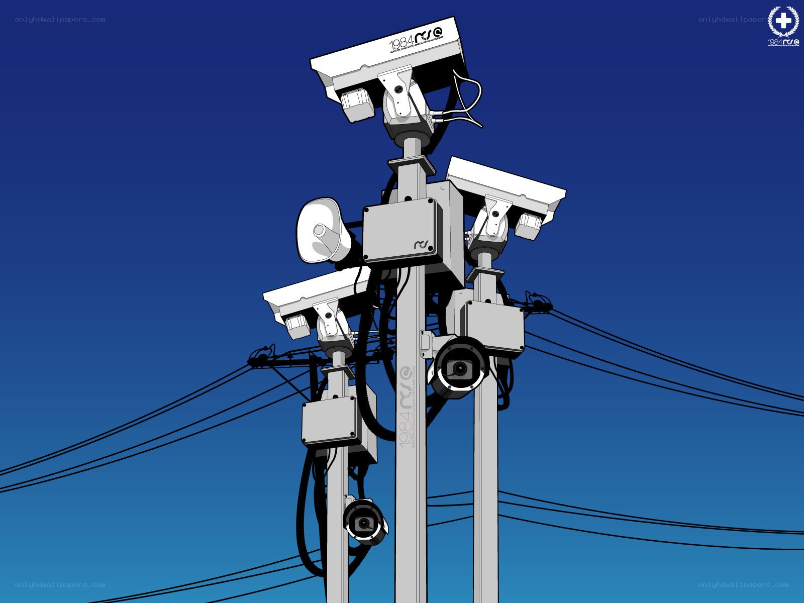 Surveillance cameras on a pole